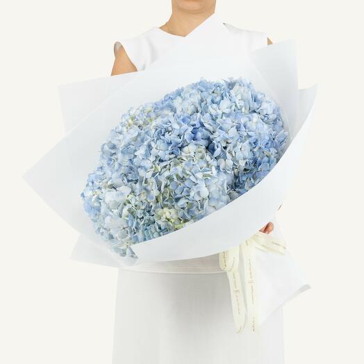 Большой букет из голубых гортензий