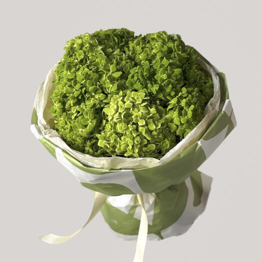 Green hydrangeas (10 pcs)
