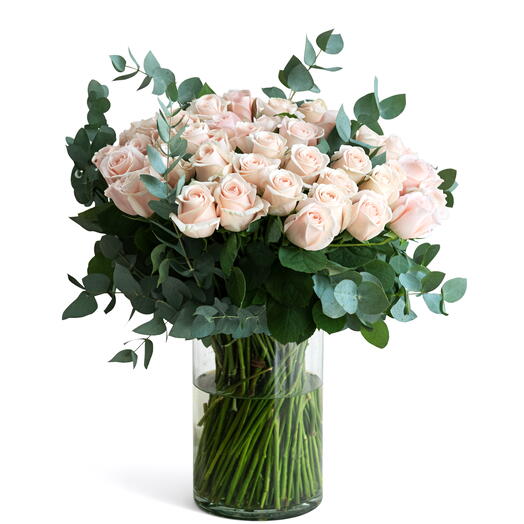 Elegancia Rosada – Jarrón con 51 rosas