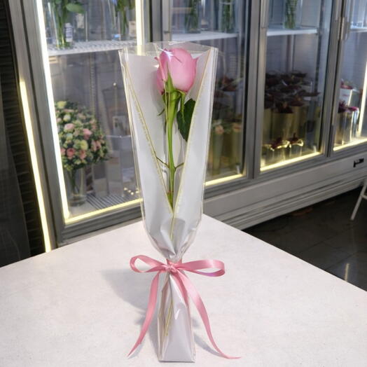 Pink Single Rose with Sleeve and Ribbon