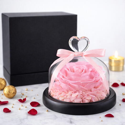 Pink Preserved Rose Glass Dome
