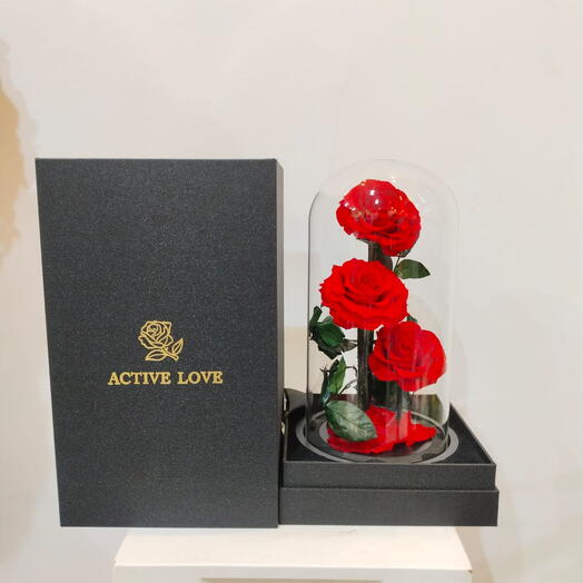 Triple Infinity Rose