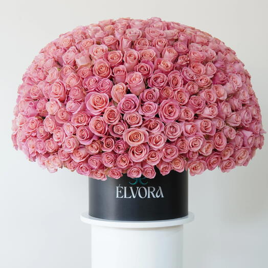 Купол «Безмятежность» из розовых роз