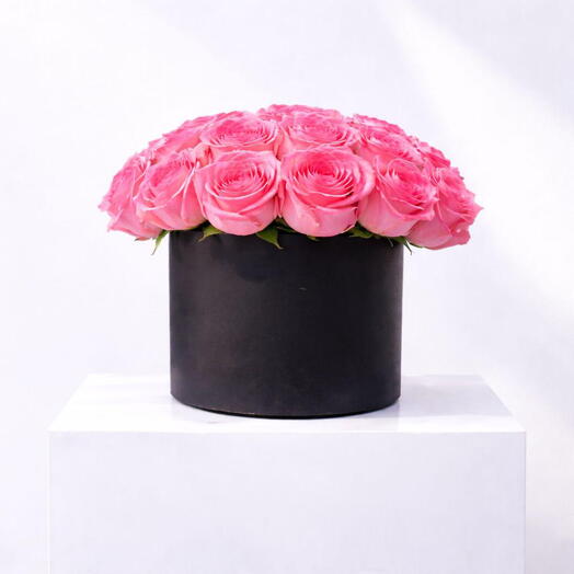 Botanica Rosa Rosada BB