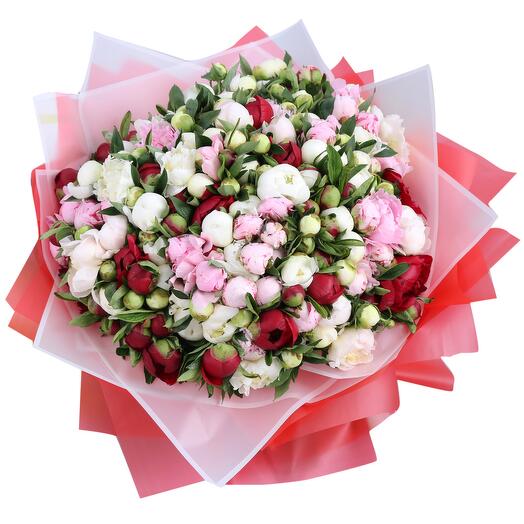 201 Mix Peony