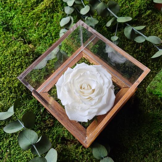 Белый Инфинити Сингл