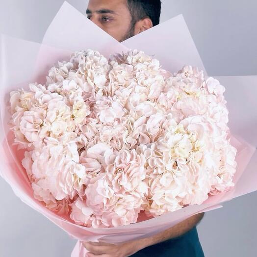Bouquet of pink hydrangeas 11 pcs