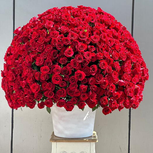 Grand Luxury Arrangement of 501 Red Roses – Ultimate Romantic Gesture