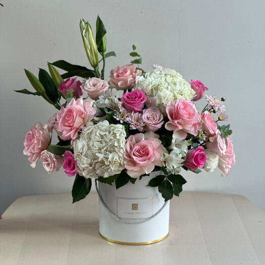 Смешанный бокс