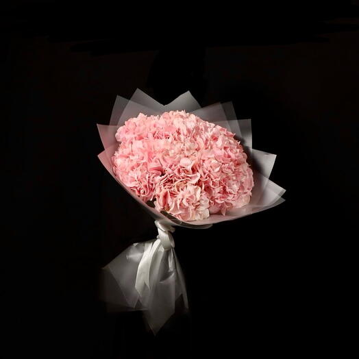 Розовая гортензия