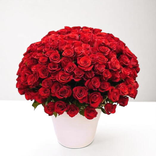 Symphonie Rouge Romantique : 101 Roses Rouges dans une Belle Boîte