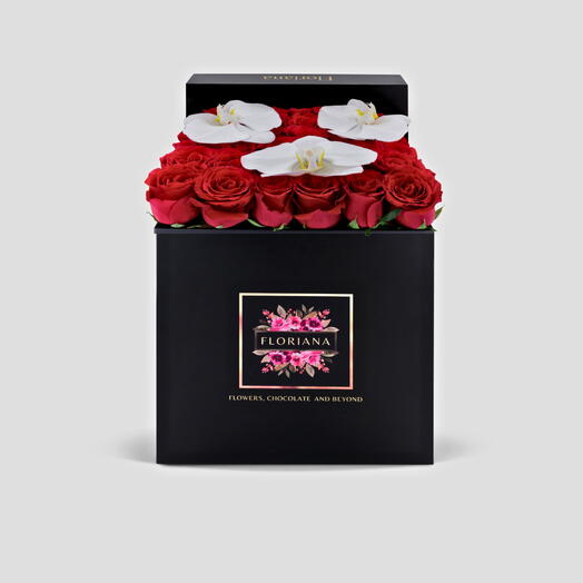 Rose Rouge en Noir Grande