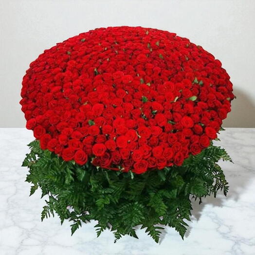 Королевский Красный 501