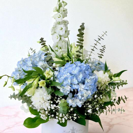 Волшебный бумбокс