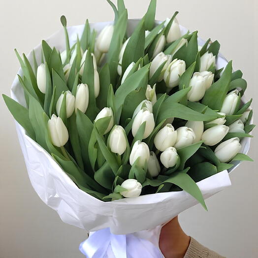 Ivory Majesty – 51 White Tulips
