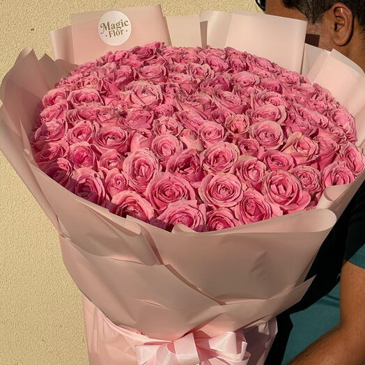 131 роза Wham Pink