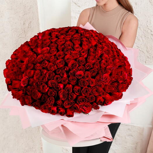 Бесконечная романтика