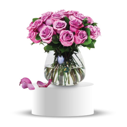 Lucidly 24 фиолетовые розы