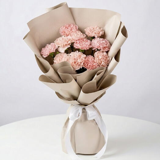 Pink Carnation Bliss