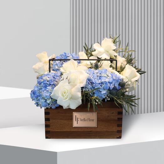 Talia Lakewood -  Medium