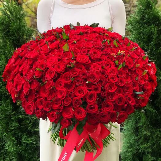 Bouquet de 301 roses rouges