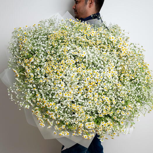 101 Tanacetum  с гипсофилой -1451