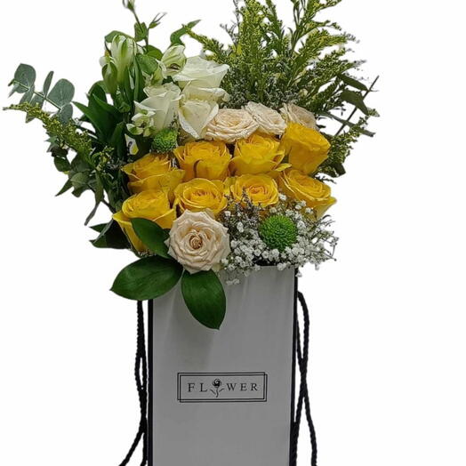 White Box arrangement bbb