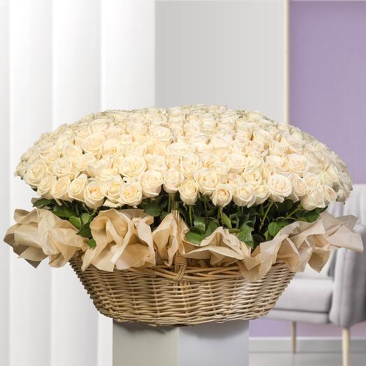 333 White Roses