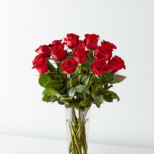 R  Red roses in Vase