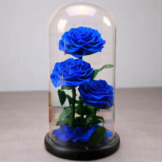 3 pcs Blue  For Ever Rose Set