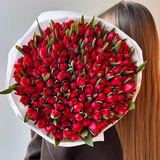 101 красный тюльпан