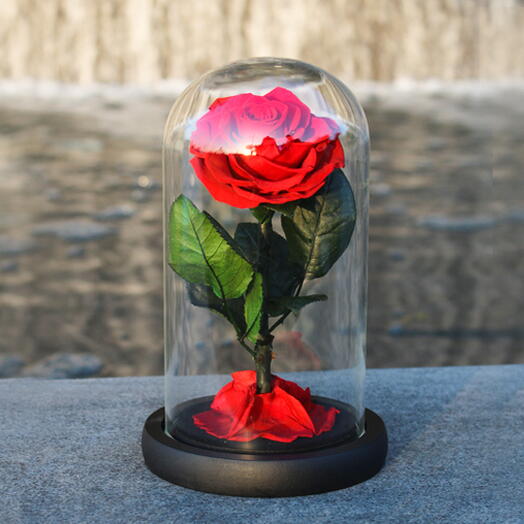 Best Gift For Valentine s Day Premium Forever Rose