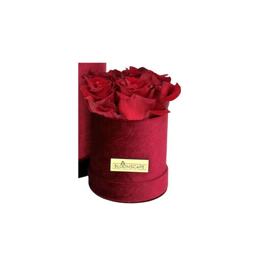 Terciopelo rojo pequeño