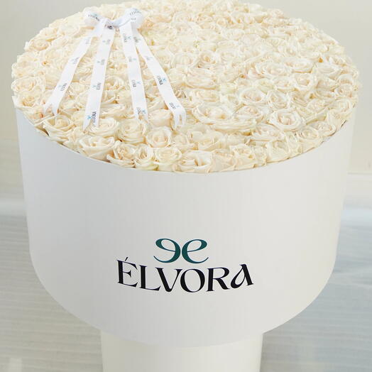 PURE WHITE ROSES IVORY DOME