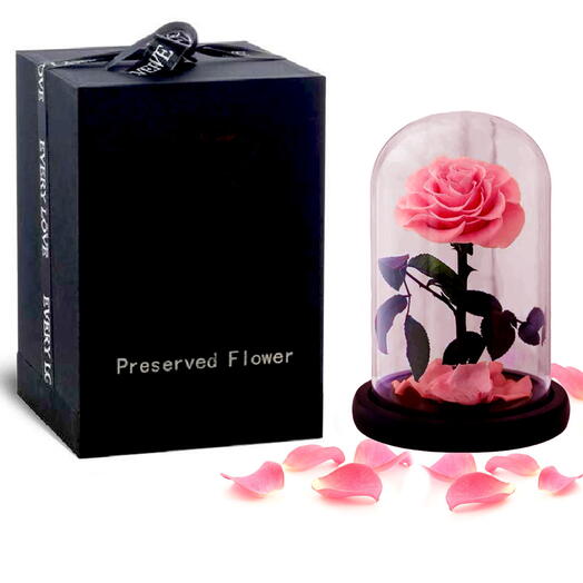 Pink Infinity Rose in a Glass Dome