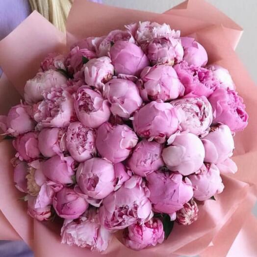 Softer Than Soft: 51 Pink Peonies