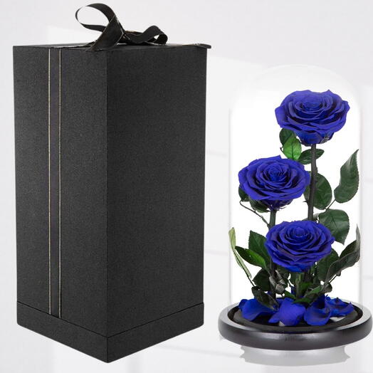 Trio Forever Rose Blue