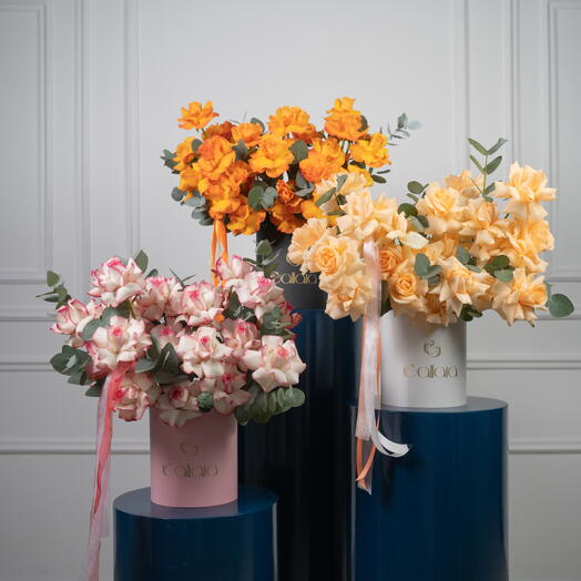 Rosé,Agrumes,Boîte Florale Harmonie