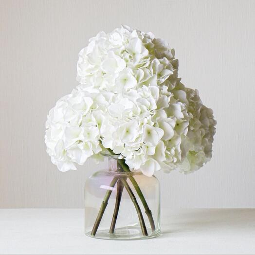 Hydrangea white vase