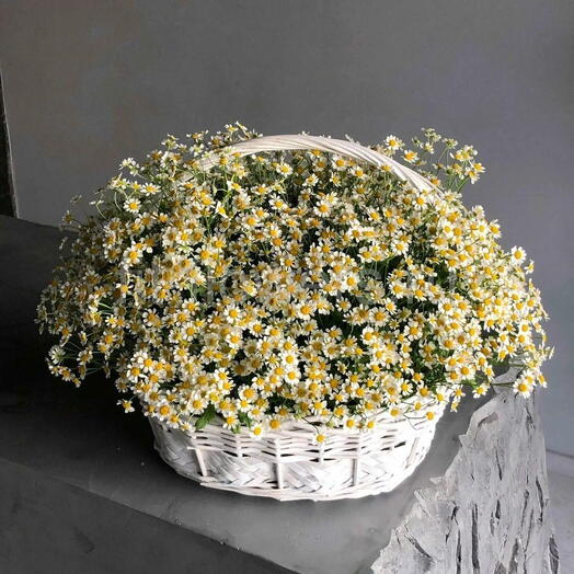 Медовая дымка