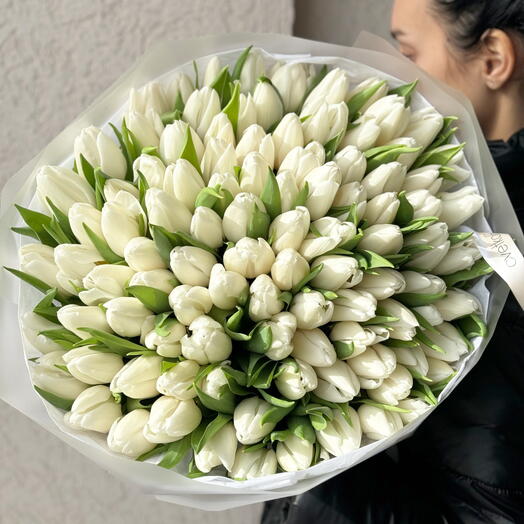 Nova Beauty Элегантные Белые Тюльпаны