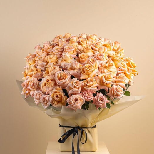 Egypt- 101 Peach and Orange Rose