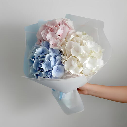 Gentle Trio – Blue Pink Hydrangeas