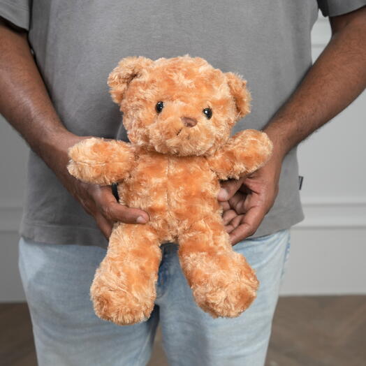 25 см милый коричневый плюшевый мишка  7481