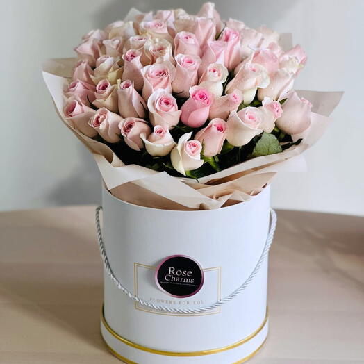 Blush Purity | 51 Pink Roses in Chic White Box  Same-Day Dubai