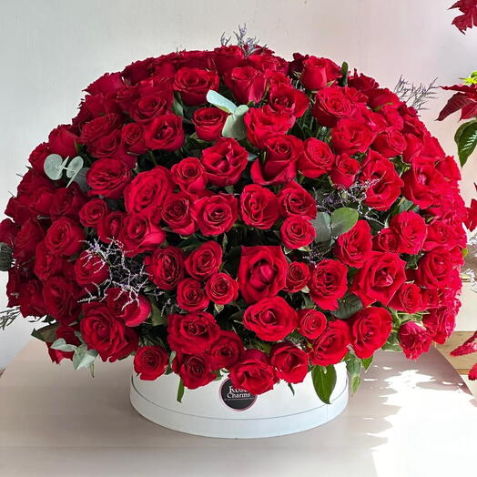 Parade de Pétales Roses Rouges