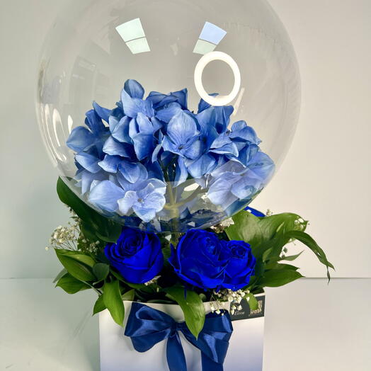 Океанская мечта