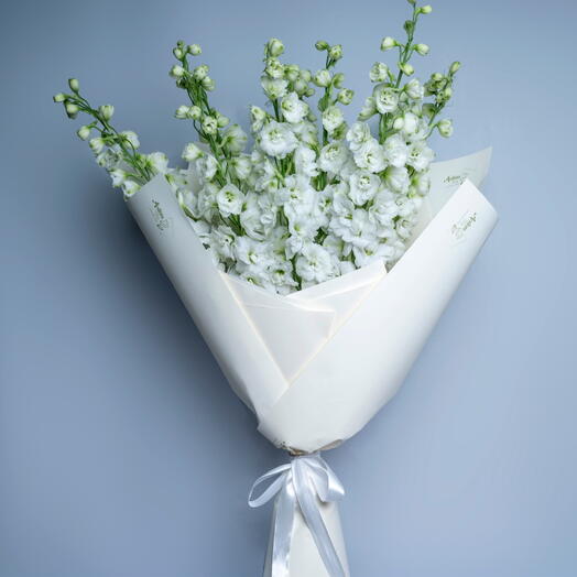 9 White Delphinium-6046