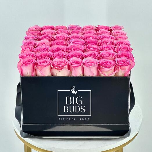 BBF Revival In Black Box