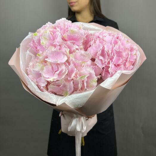 Hydrangea Delight - 3835